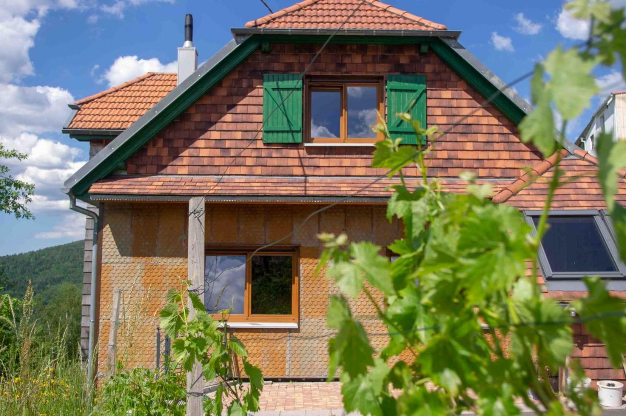 Le Gite Du Wildbach Wildersbach Bagian luar foto